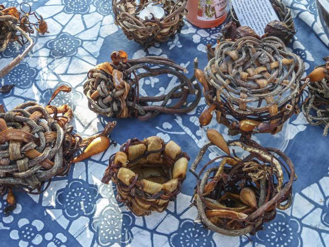 First Nations handicrafts - bull kelp baskets