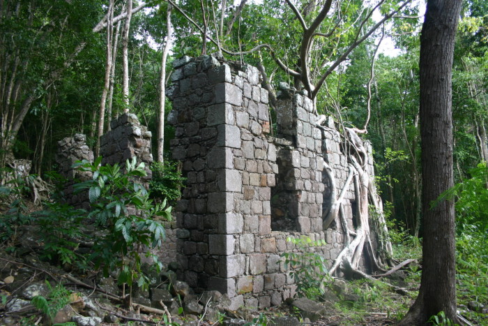 forest ruins dominica