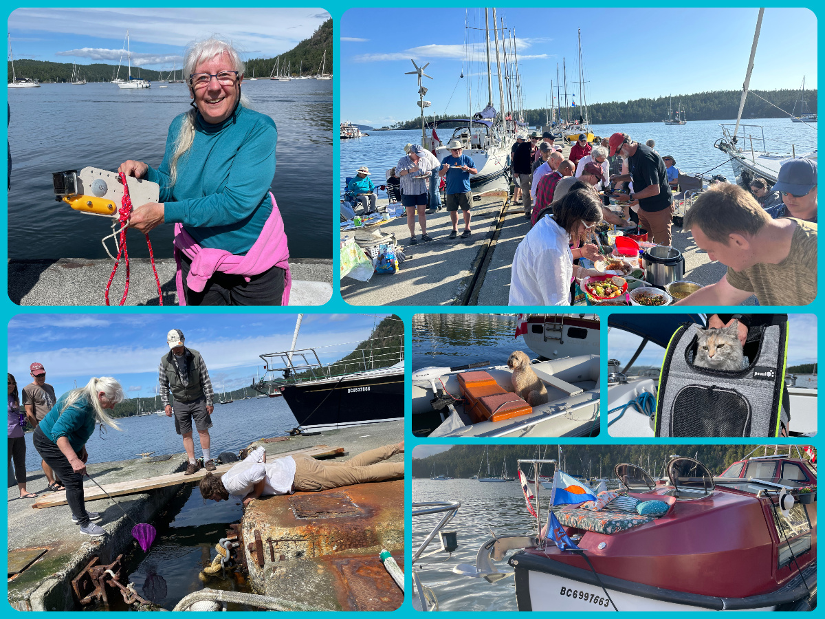 Collage Maker-01-Jun-2023-04-12-PM-3645 - Currents Bluewater Cruising
