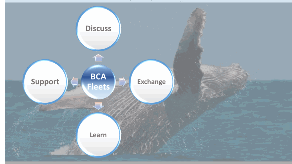 Diagram representing the values of the BCA Fleets